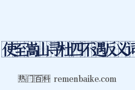 使至嵩山寻杜四不遇反义词是什么意思的图片